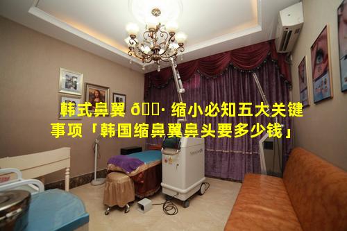 韩式鼻翼 🕷 缩小必知五大关键事项「韩国缩鼻翼鼻头要多少钱」